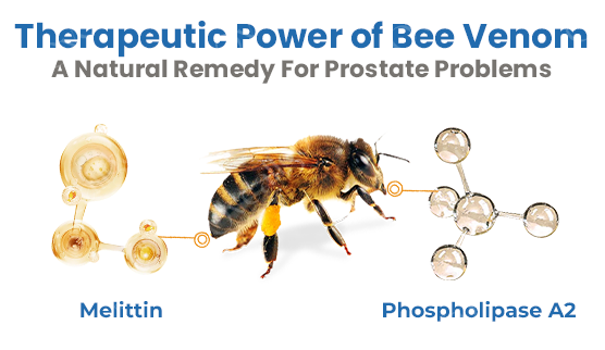 BEE BOOM Nasal Inhaler for Prostate Wellness